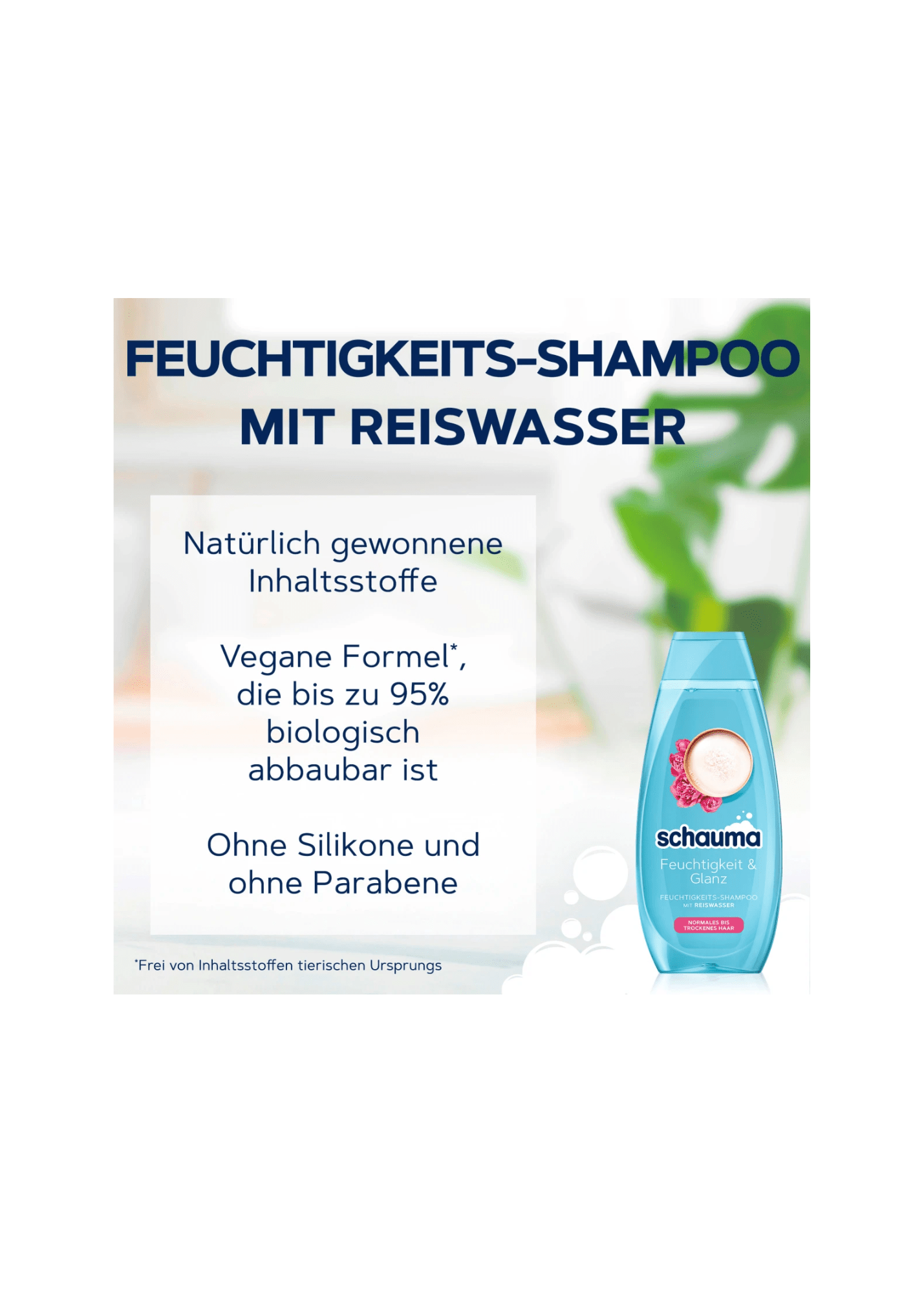 Shampoo Feuchtigkeit & Glanz, 400 ml