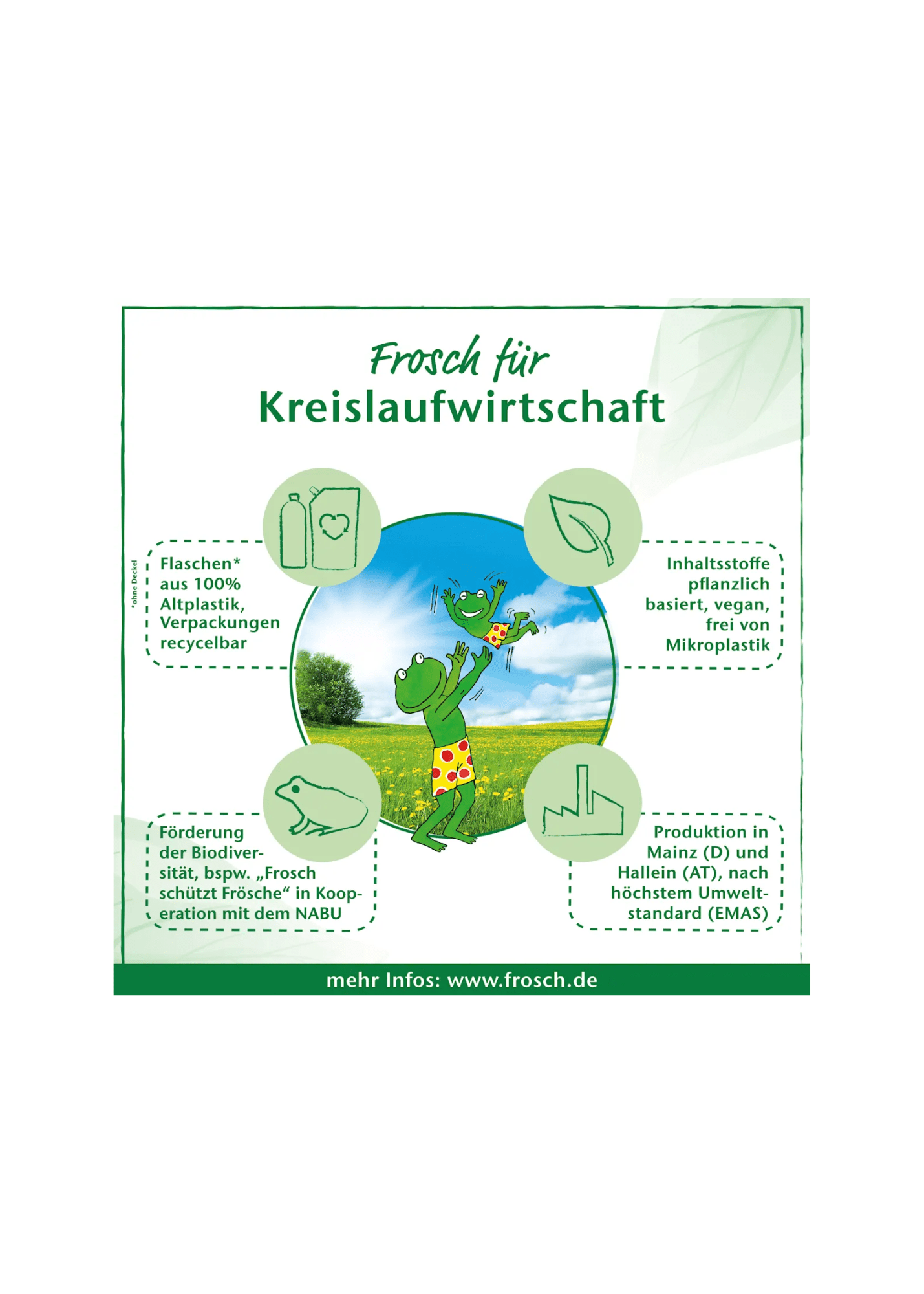Frosch Glasreiniger Spiritus, 500 ml
